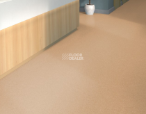 Tarkett iq Melodia 2620 фото 2 | FLOORDEALER
